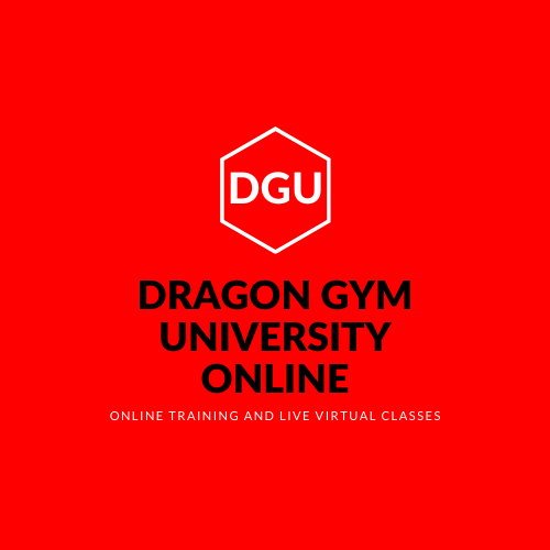 Online Training Modules and Live Virtual Kids Martial Arts Classes