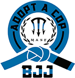 Logo Recognizing Dragon Gym Martial Arts & Fitness's affiliation with BJJ Adopt A Cop
